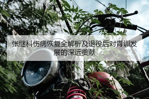 张继科伤病恢复全解析及退役后对青训发展的深远贡献（ONE ENTERTAINMENT）